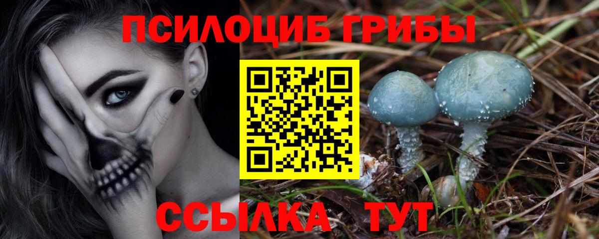 Каменка  купить наркоту  Вход с VPN  Галлюциногенные грибы мицелий  Галлюциногенные грибы мицелий 