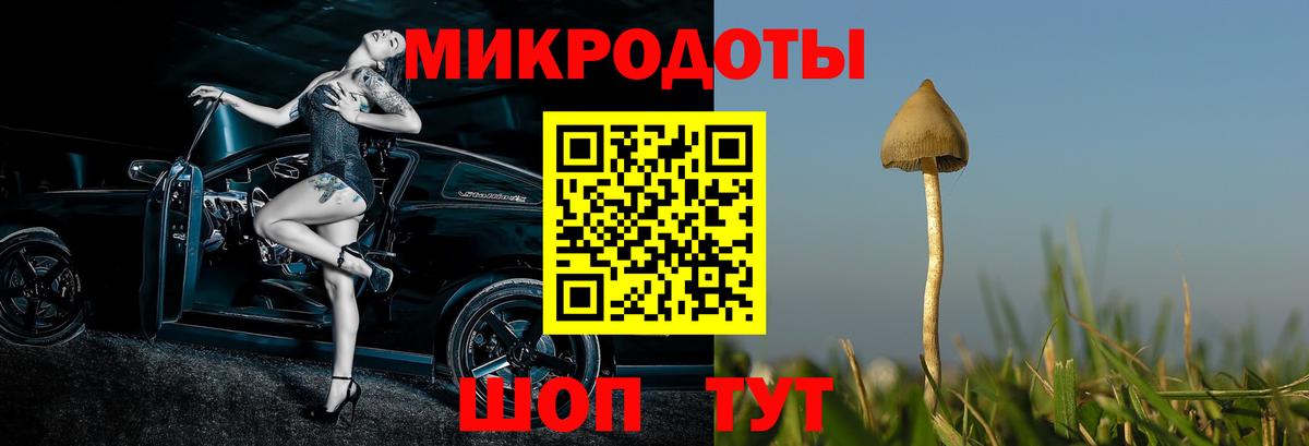 Псилоцибиновые грибы GOLDEN TEACHER Каменка